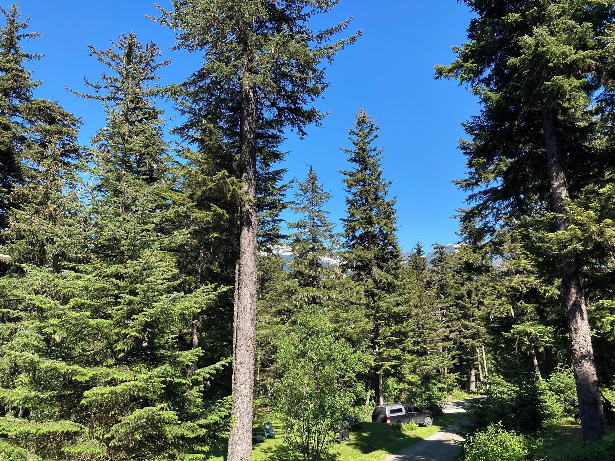 Vista Exterior Beachroadhouse