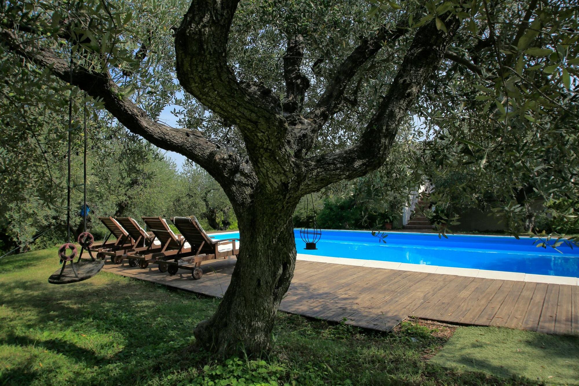 Comodidades del Alojamiento B&B Arli