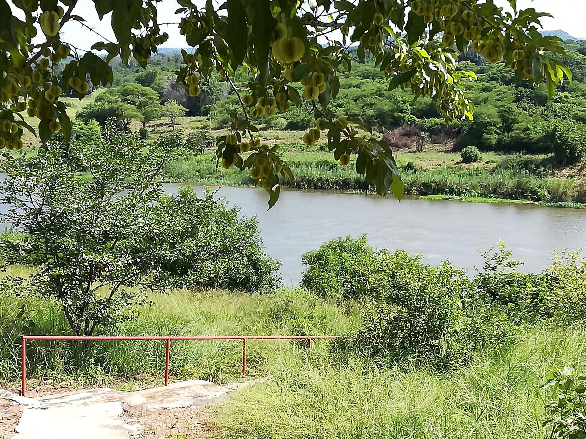 Comodidades del Alojamiento Mount Hermon Safari Cottages