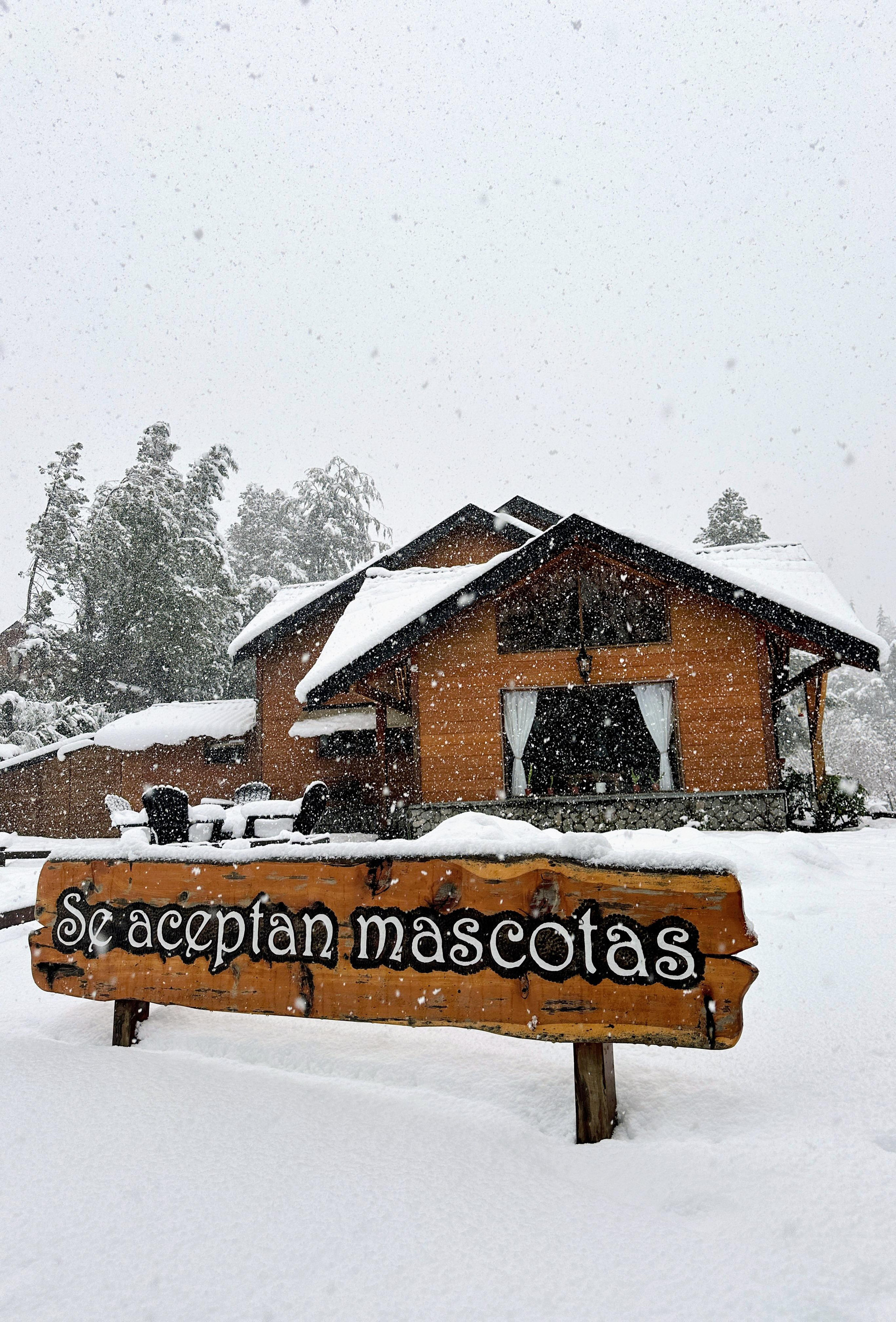 Pet friendly POSADA DEL CIPRES