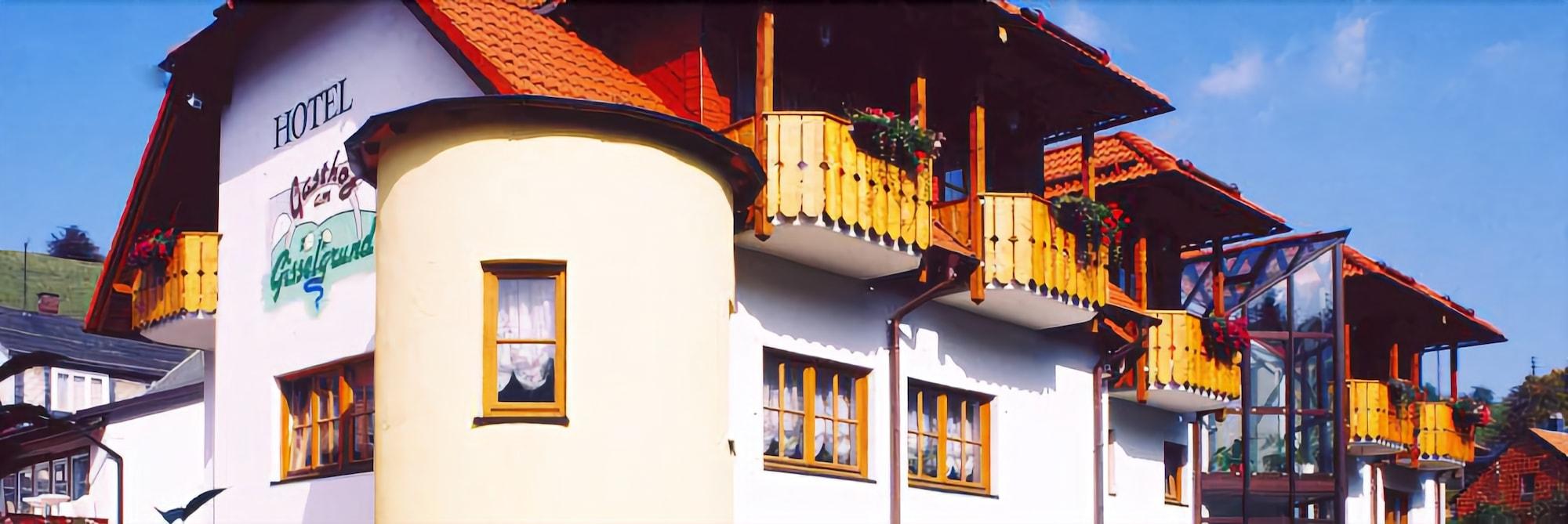 Varios Hotel Am Gisselgrund