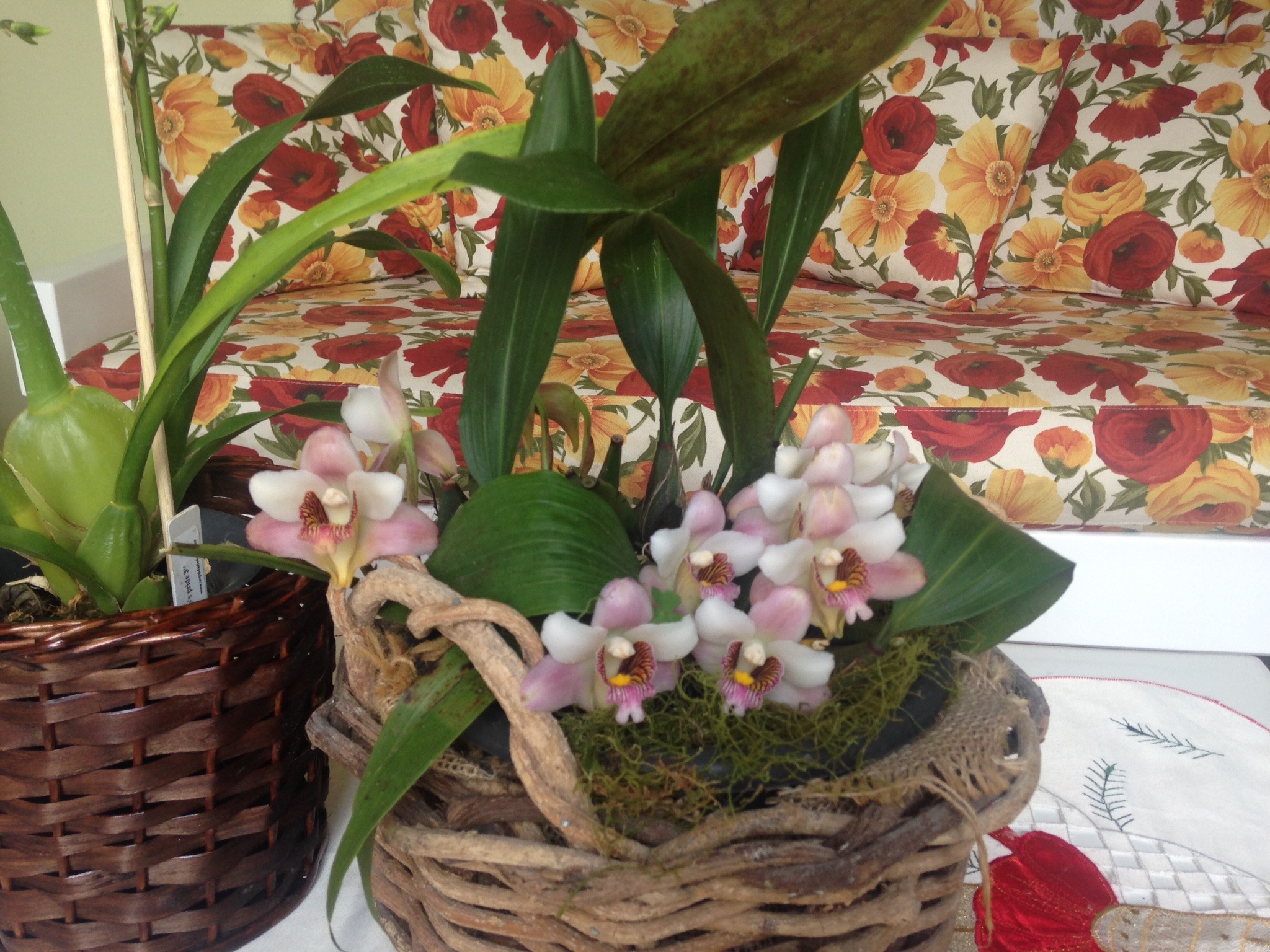 Varios Pousada Beija Flor Gramado