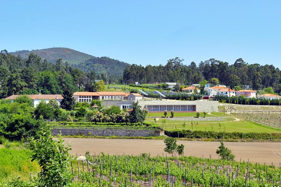 Vista Exterior Lousada Country Hotel