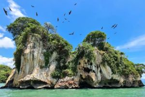 Actividad - Los Haitises Kayak & Caño Hondo Pools + Lunch