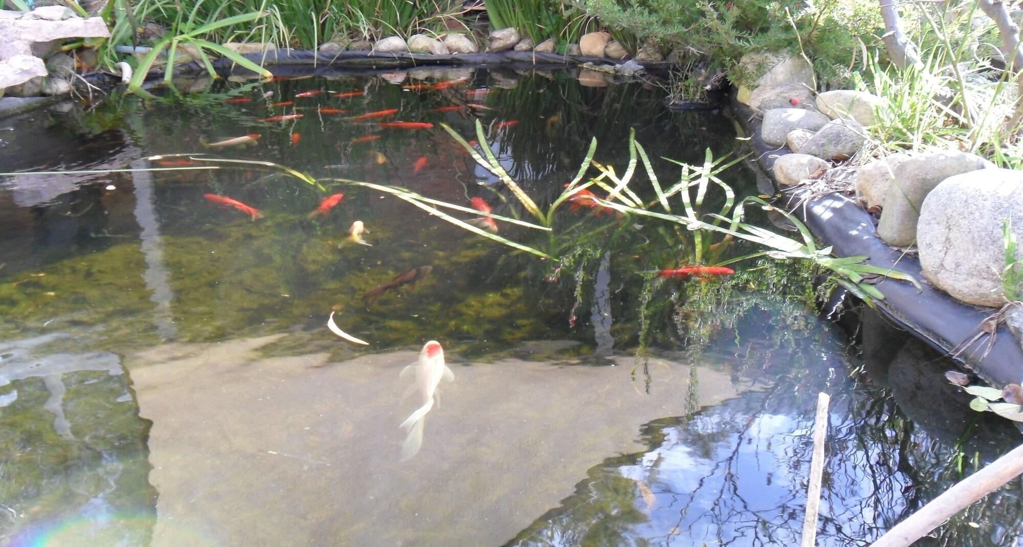 Instalaciones Recreativas Settlement Motor Inn, Deniliquin