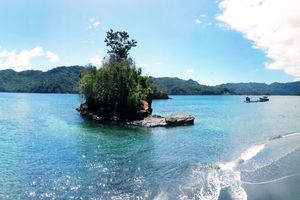 Alojamiento - Cocotinos Lembeh A Boutique Dive Lodge
