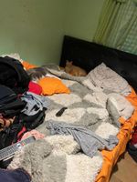 Alquiler Vacacional - Apartment in merlo