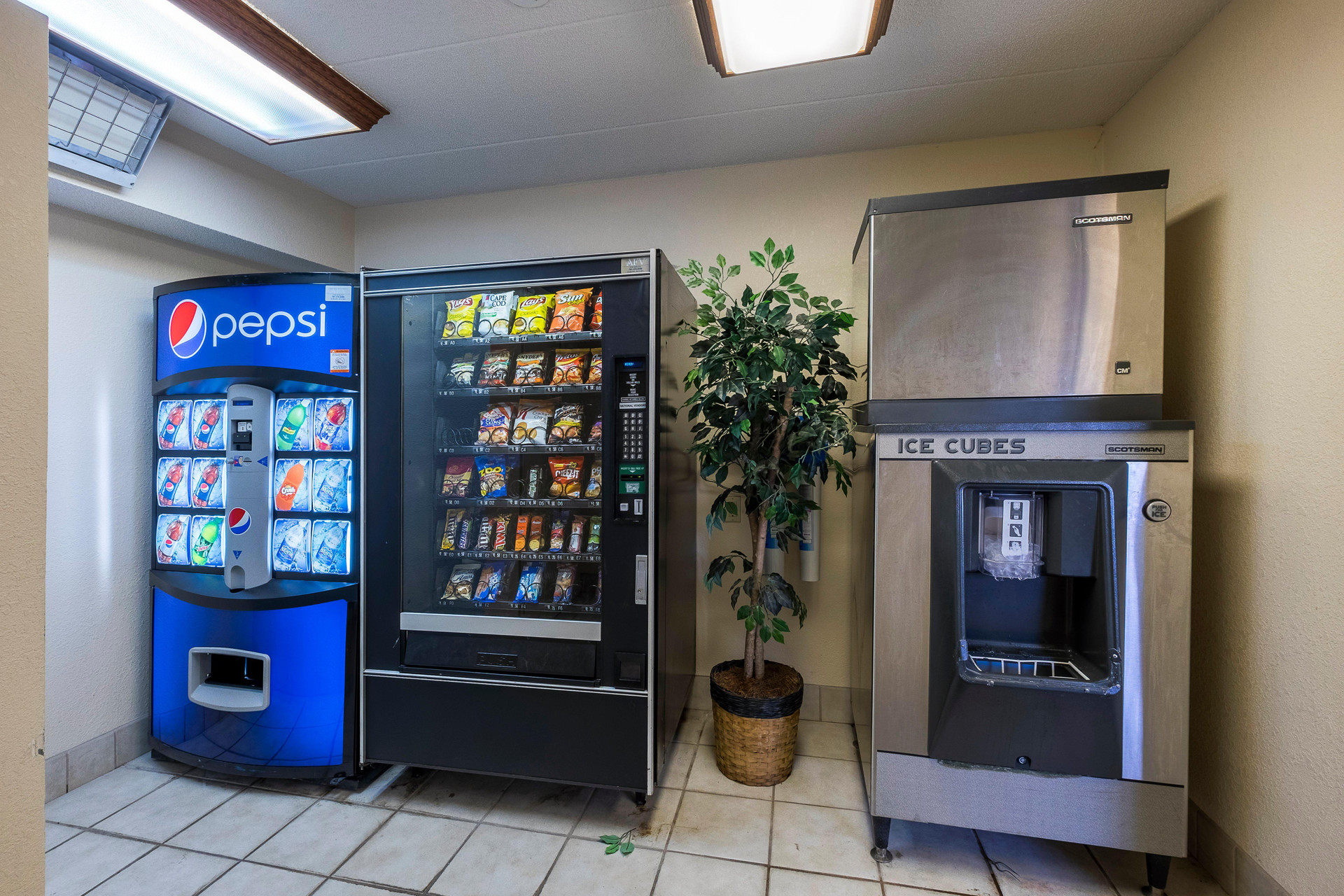 Instalaciones Recreativas Red Roof Inn PLUS+ Pittsburgh South - Airport