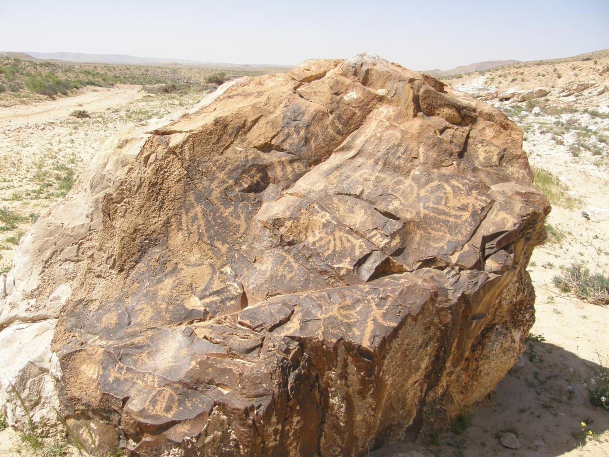 Varios Hadass Desert Inn