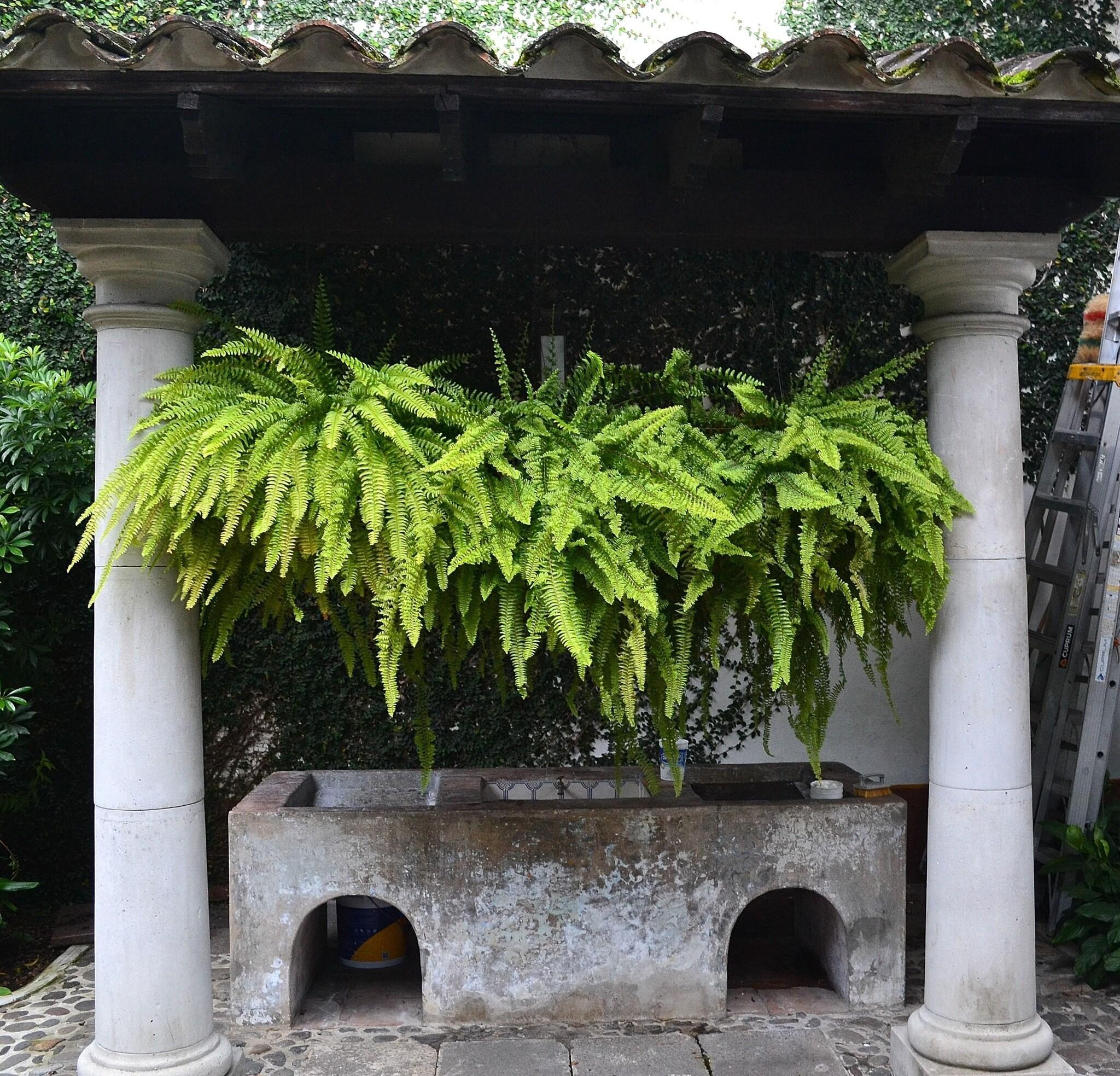 Vista Lobby Meson Del Alferez Coatepec