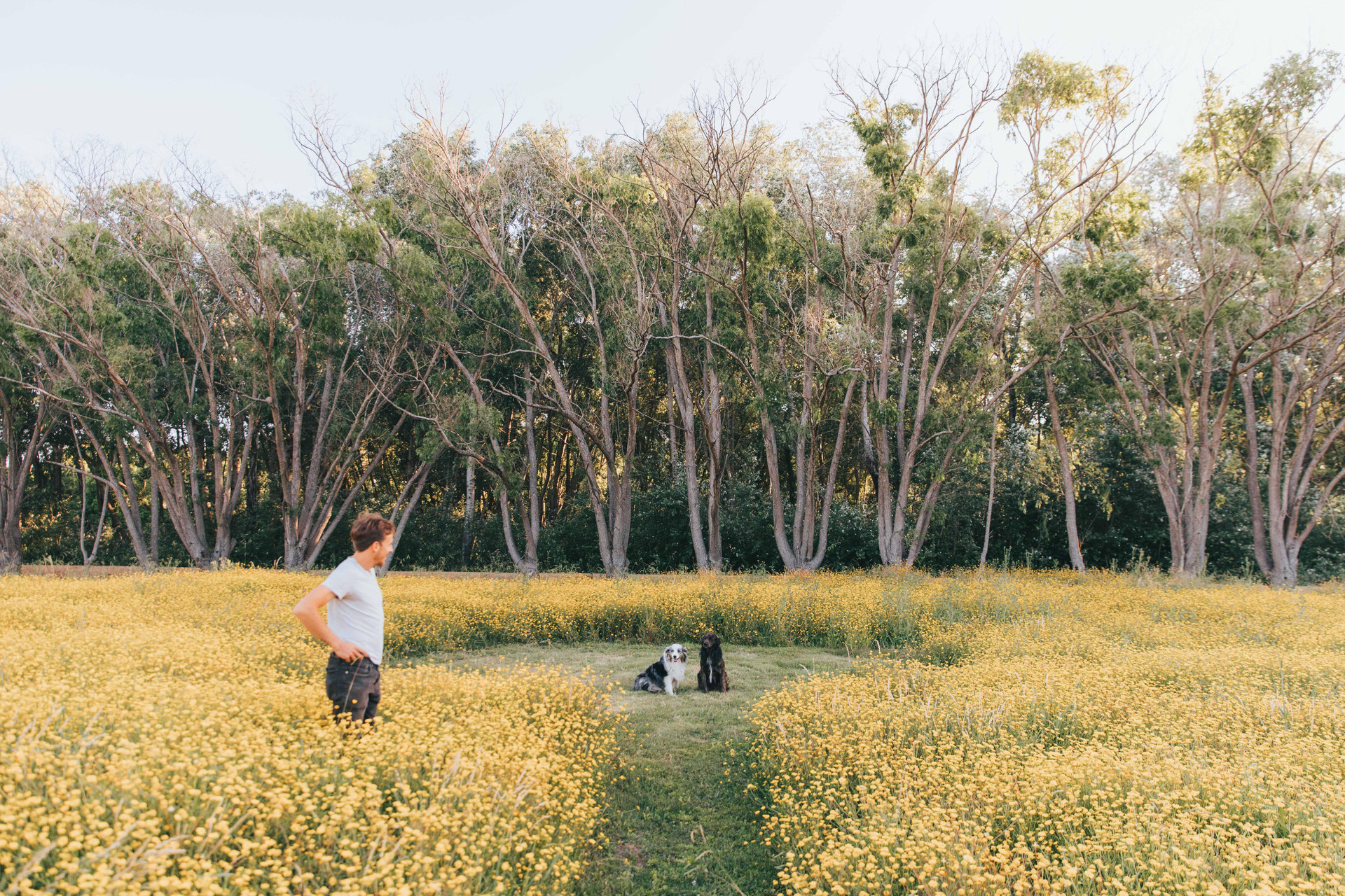 Pet friendly Estancia CH