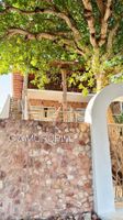 Alojamiento - Camurupim Jericoacoara