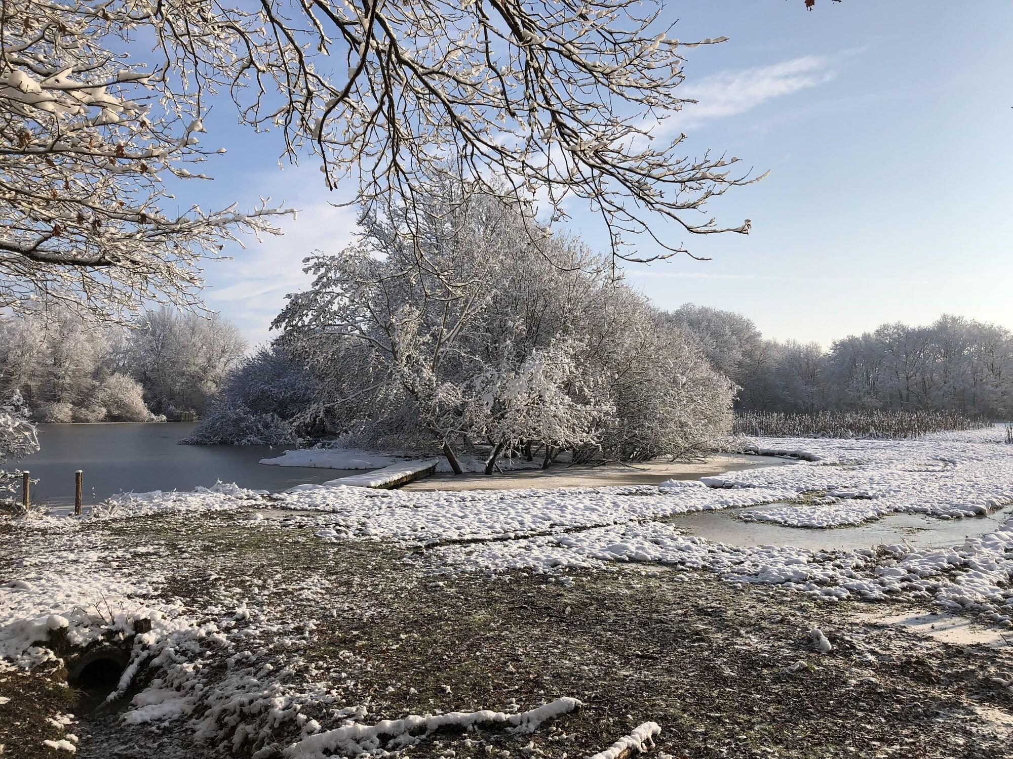 Comodidades del Alojamiento Domaine de la Motte Melleraye