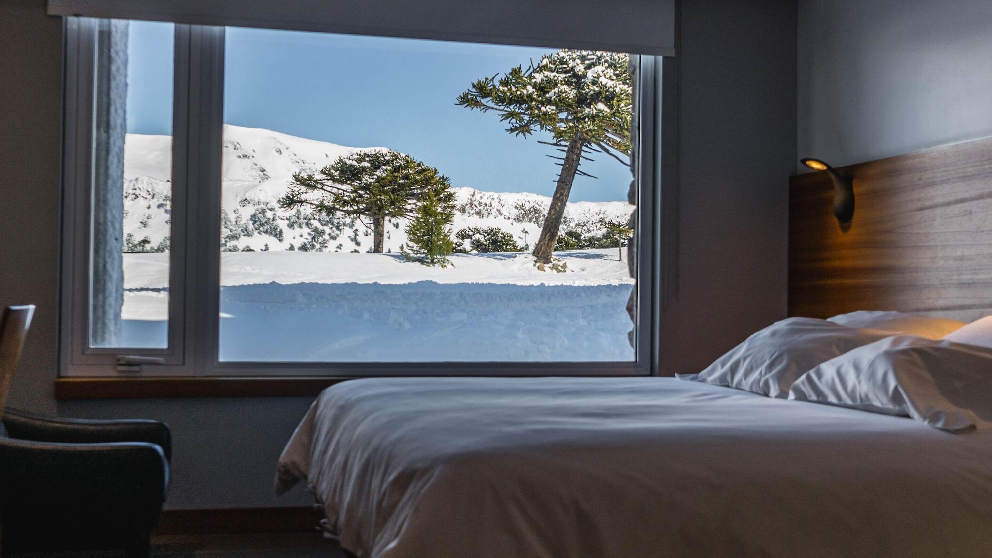 Habitación Ignea Hotel