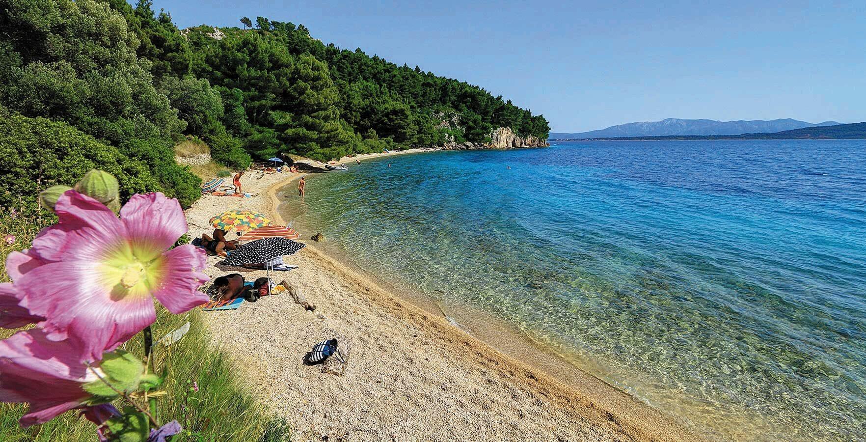 Playa Victoria Mobilehome Camping Dole