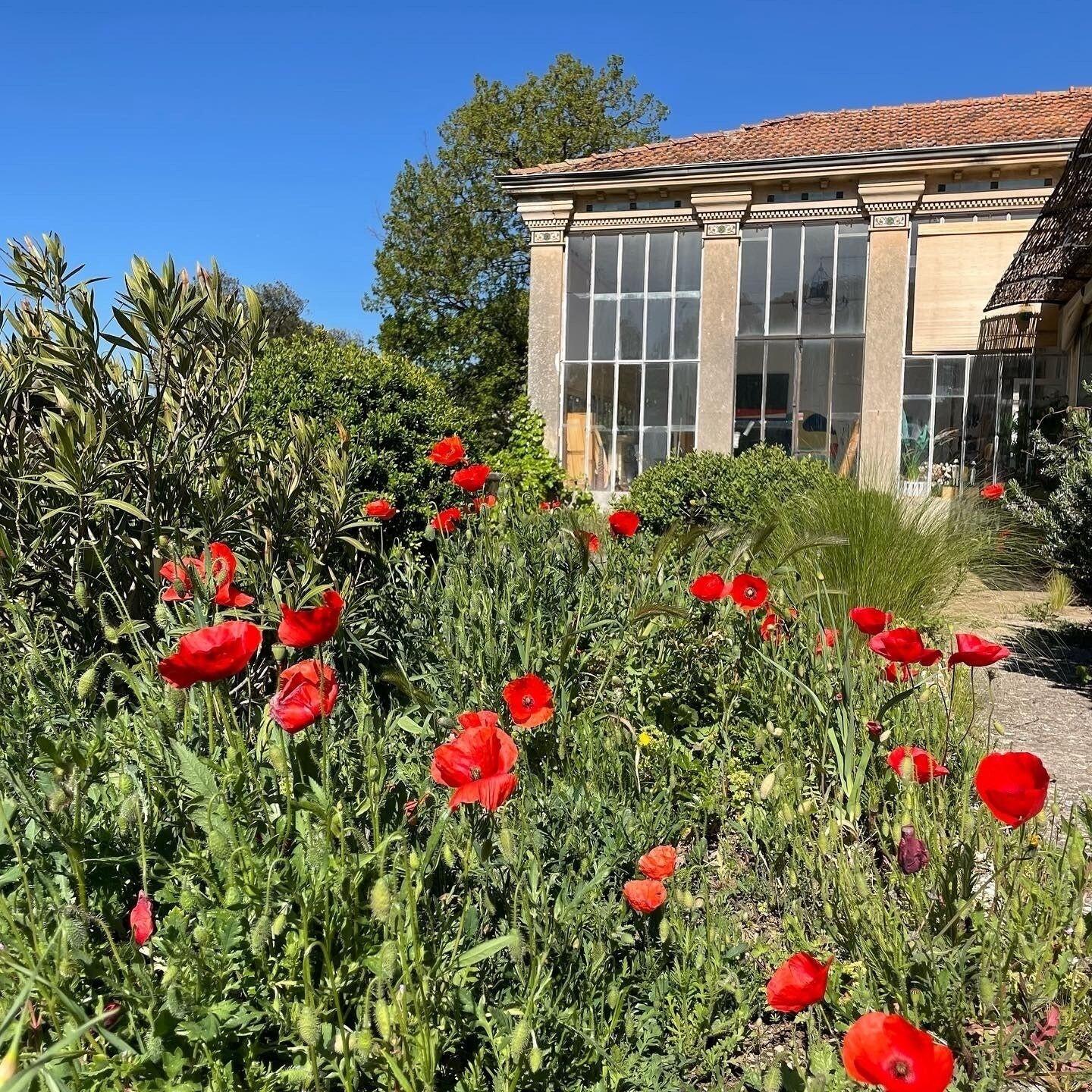 Vista Exterior Villa Bam Bam