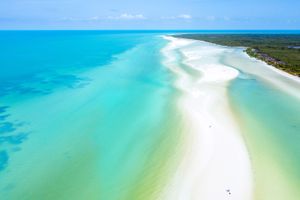 Actividad - Lo mejor de HolBox