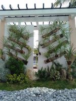 Alojamiento - Nirvana Resort