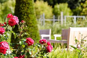 Alojamiento - Waldhotel Stuttgart