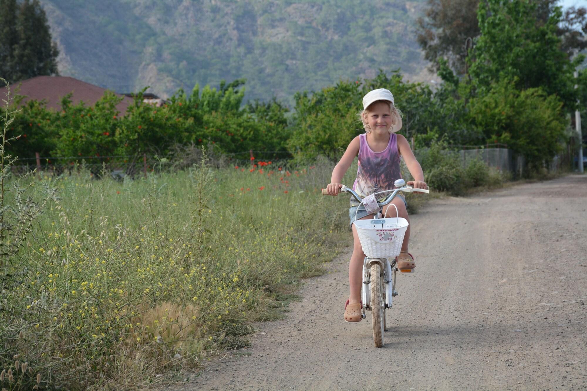 Varios Caretta Caretta Pension