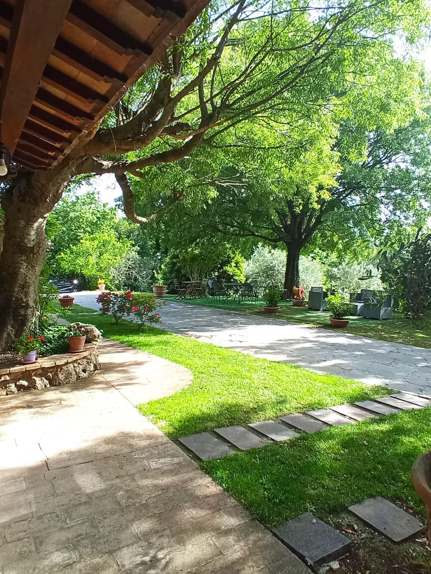 Vista Exterior All'Ombra di San Damiano