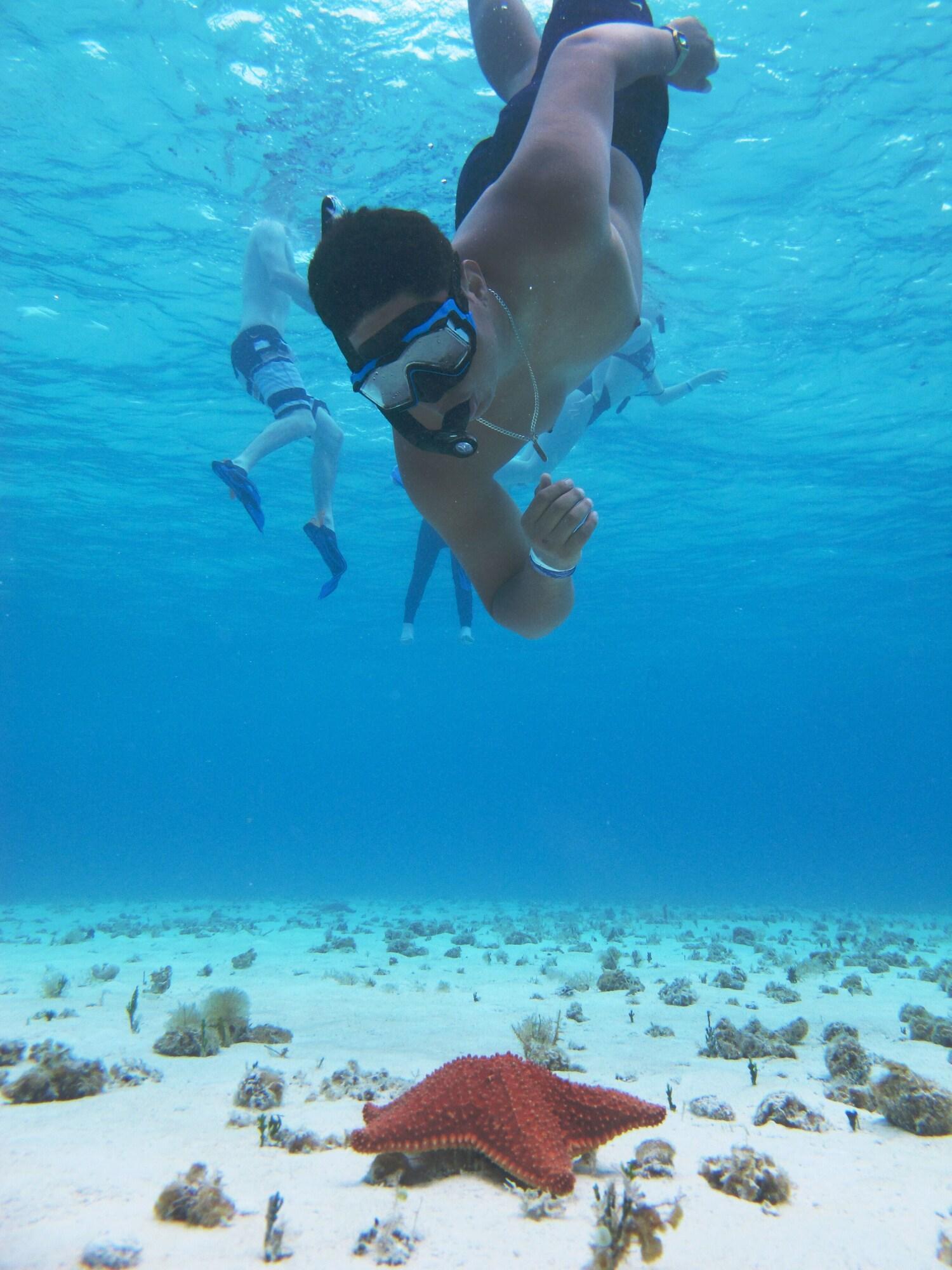 Instalaciones Recreativas Hotel Villas Colibrí Suites and Bungalows.