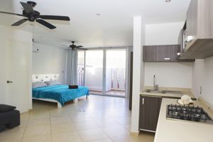 Explora esta ruta por el corazón de Playa del Carmen