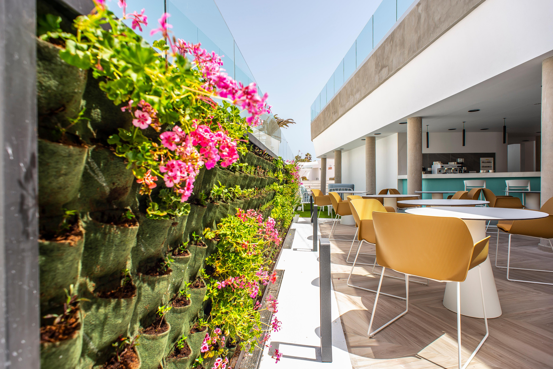 Bar/Salón Hotel Taimar