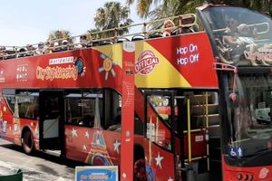 Actividad - Autobús turístico de Benalmádena