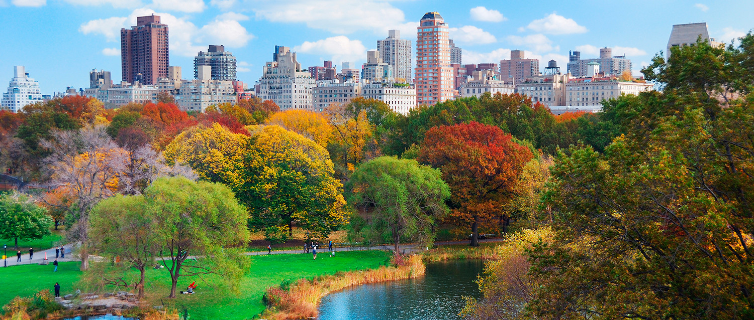Nueva York