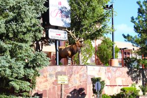 Alojamiento - Grand Canyon Plaza Hotel-South Rim