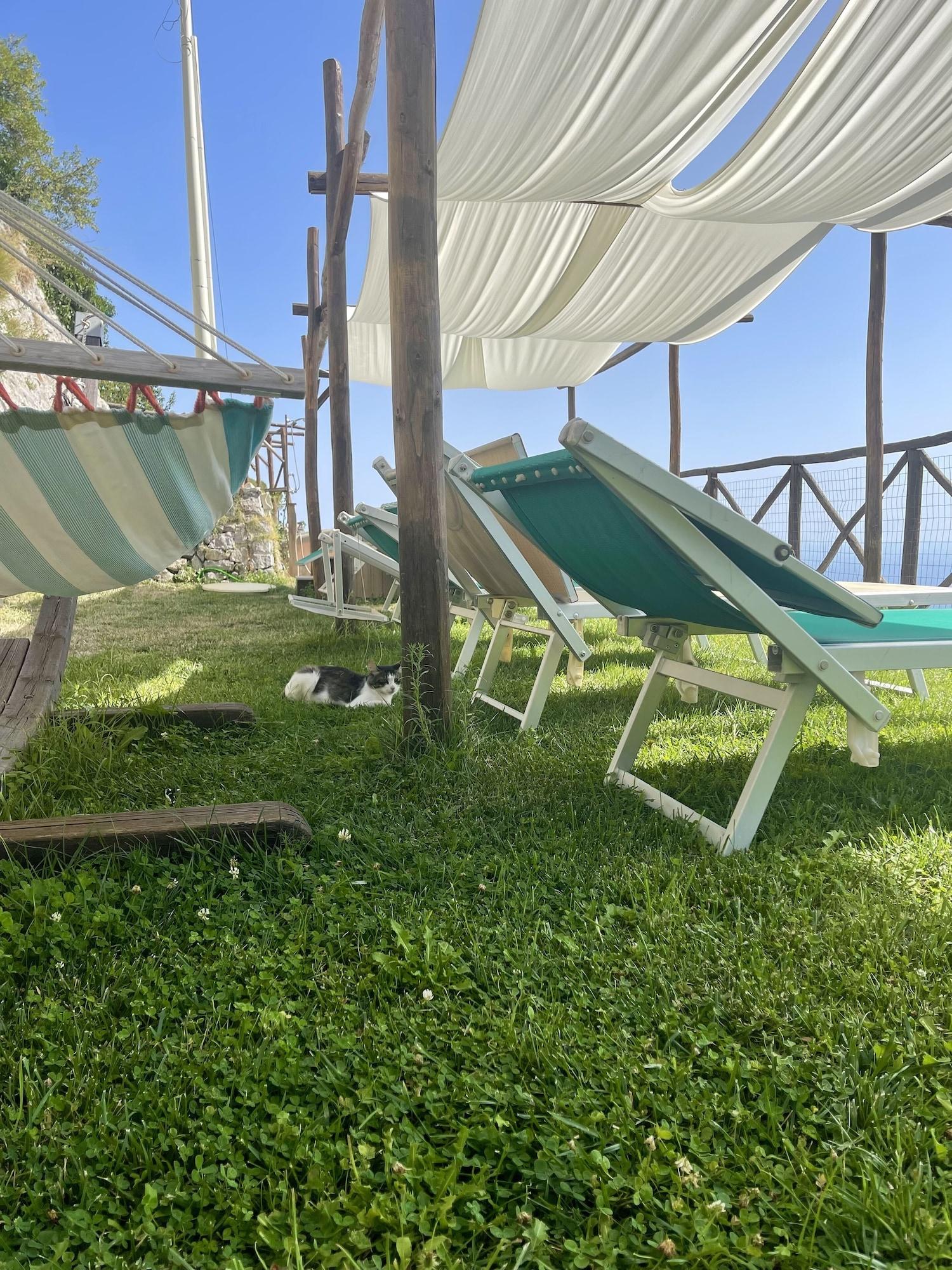 Equipamiento de Habitación Affittacamere Sant'Alfonso