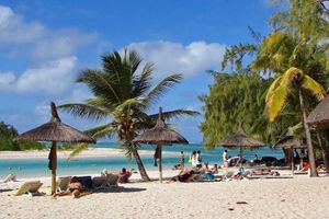 Alquiler Vacacional - Golden Rod Villa, a fabulous establishment typical of the island mauritius!