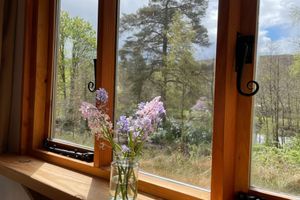 Alquiler Vacacional - Cosy Woodland off Grid Shepherds Hut - Hazel
