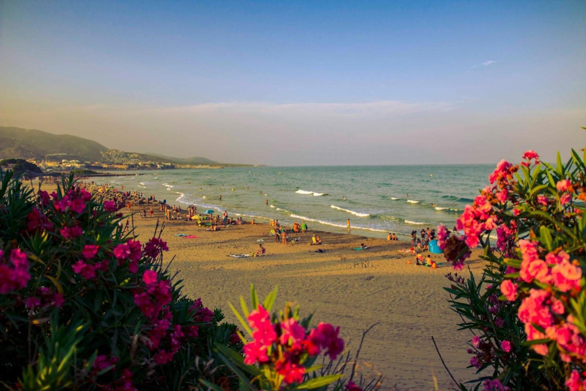 Playa Kione Villamar Habitat