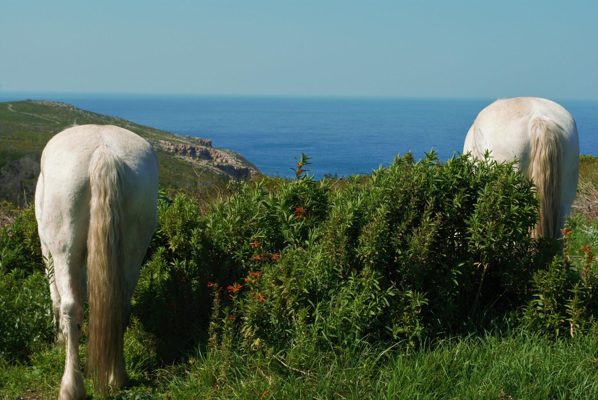 Instalaciones Recreativas T'Niqua Stable Inn