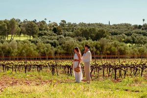 Alojamiento - Agroturismo es Mayolet