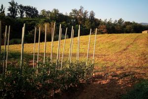 Alojamiento - B&B Cadrecca Tra Terra Luna e Mare