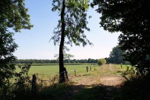 Alquiler Vacacional - Attractive Apartment in Westerstede