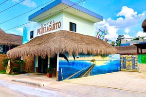 Alojamiento - Hotel Pejelagarto