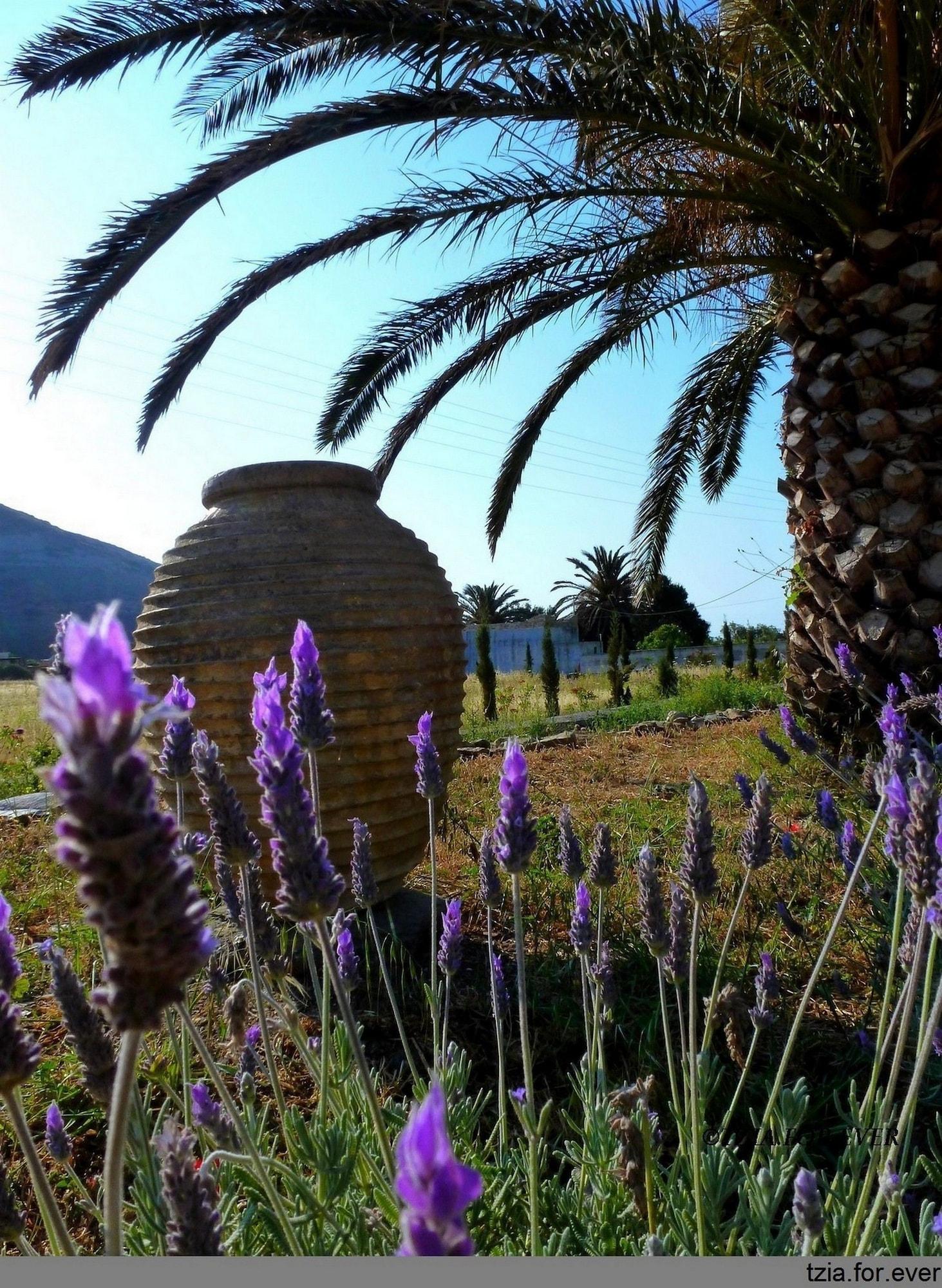Comodidades del Alojamiento La Maison Vert Amande