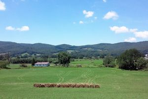 Alquiler Vacacional - The Shady House -Appalachian Mountains Cherokee National Forest, Bristol Close