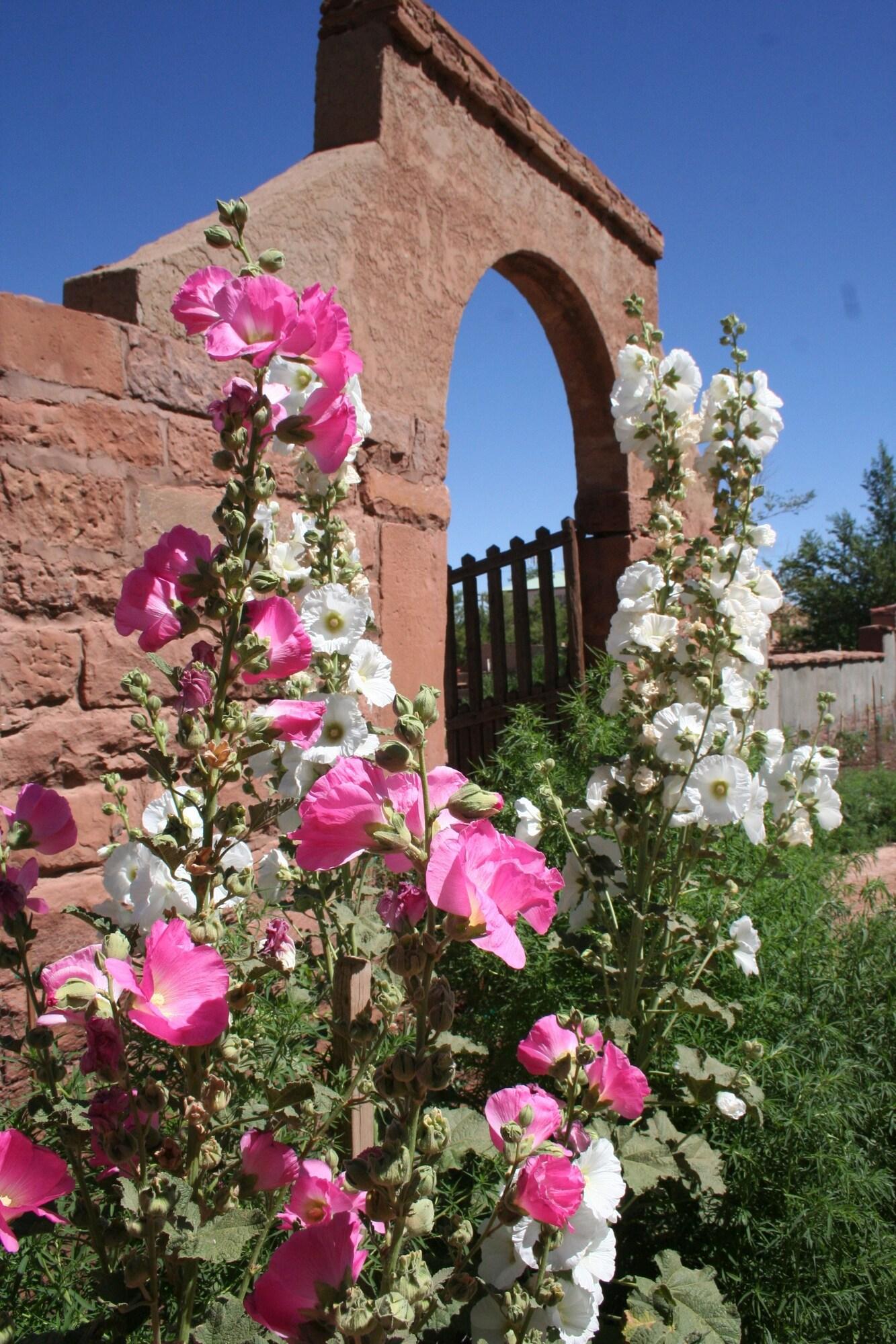Varios La Posada Hotel
