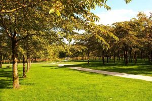 Alojamiento - Hotel Station Amstelveen