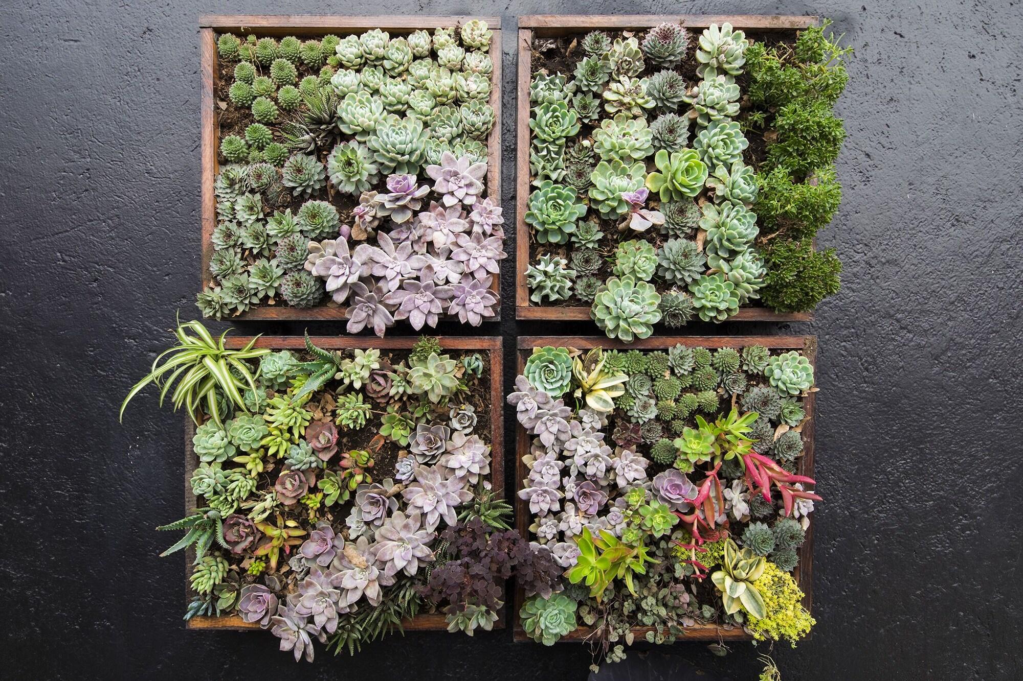 Equipamiento de Habitación Casa Hidalgo