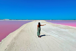 Actividad - Rio Lagartos,y Las Coloradas desde Isla Mujeres