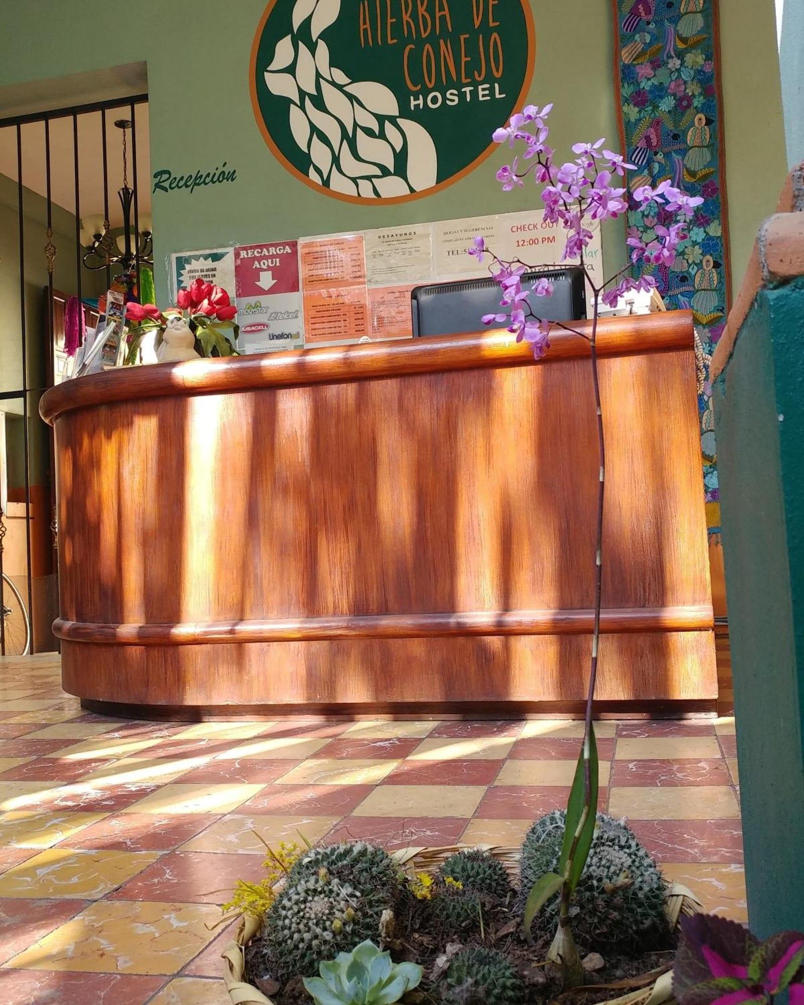 Vista Lobby Hierba de Conejo - Hostel