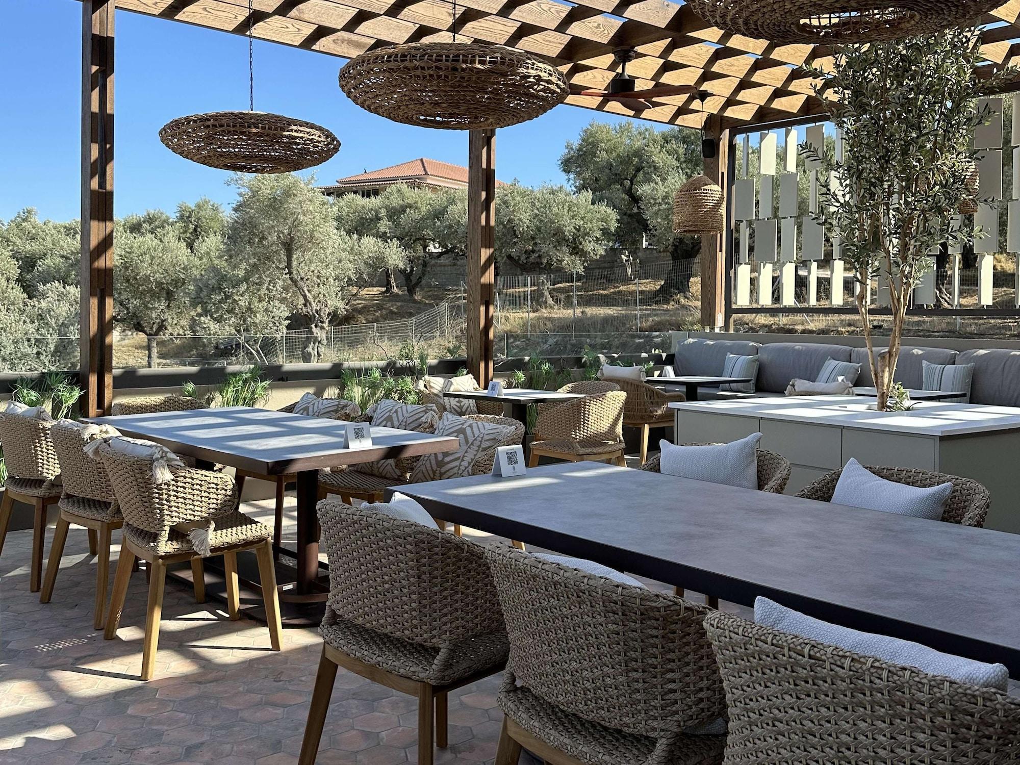 Restaurant King Jason Zante – Designed for Adults