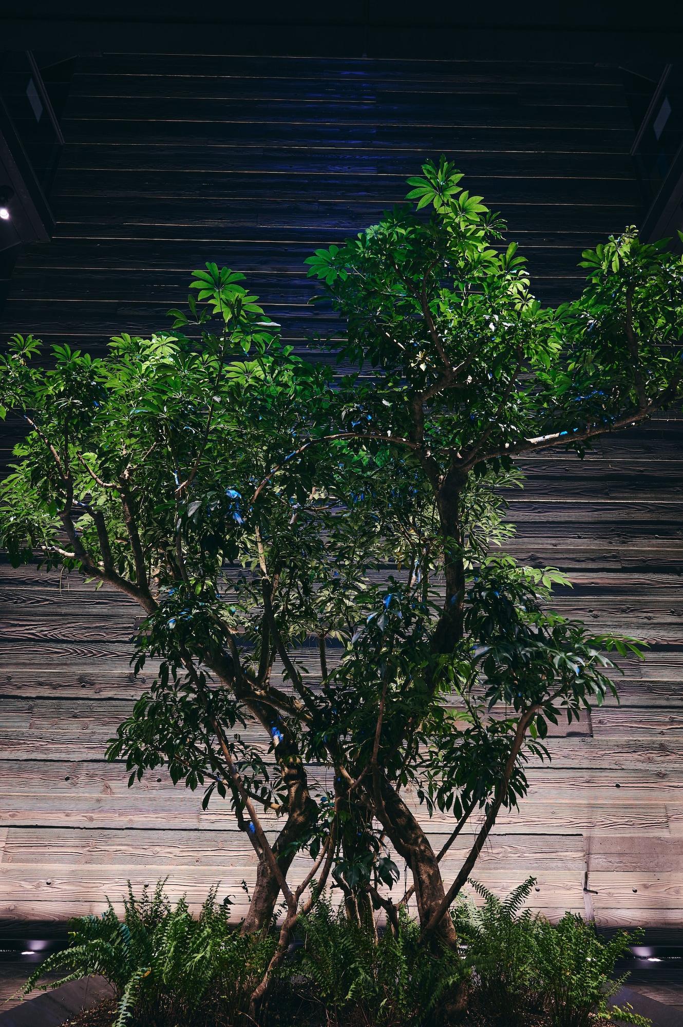 Vista Lobby nol kyoto sanjo
