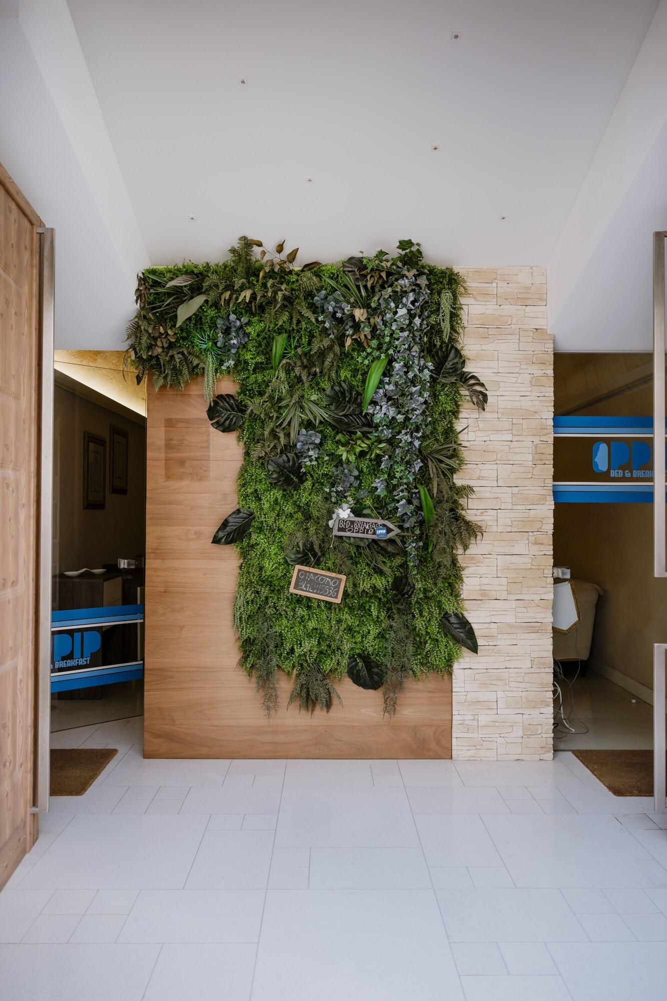 Vista Exterior OPPIP